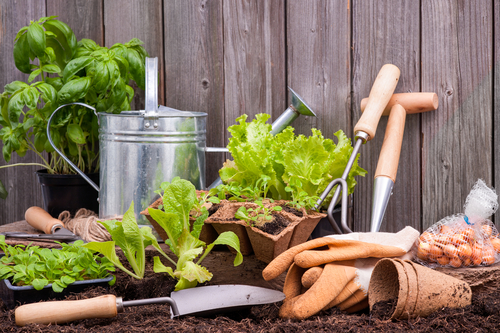 Passione gardening come dare voce alla propria creatività